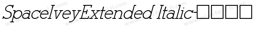 SpaceIveyExtended Italic字体转换